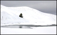 dec 23 - hayden valley, yellowstone national park, wyoming