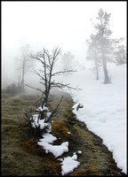 dec 24 - mammoth, yellowstone national park, wyoming